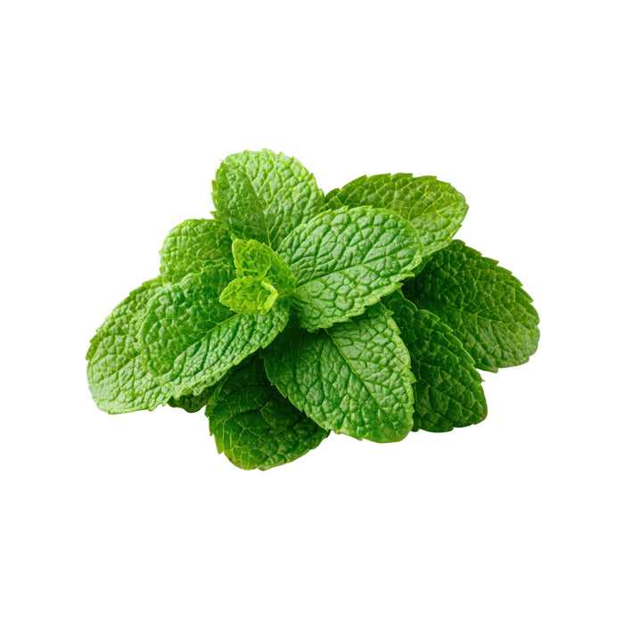 Mint