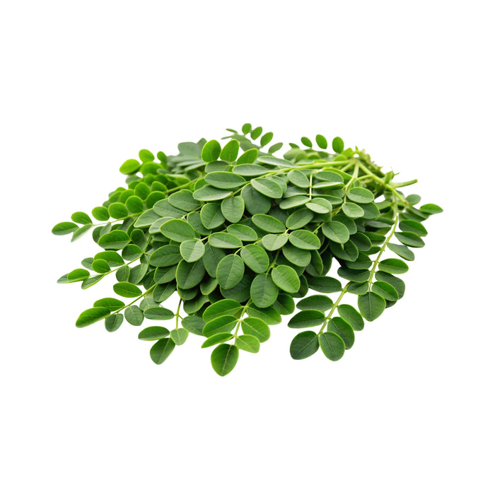 Moringa